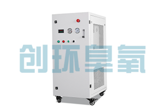江门石斑鱼养殖水质调控完整指南:臭氧发生器配置与操作步骤