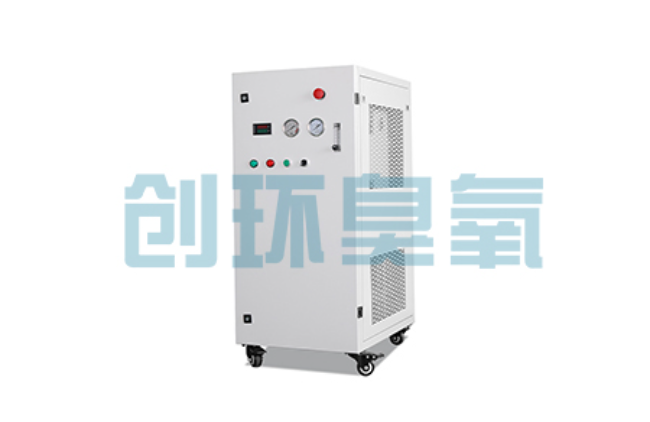 江门比传统换水更高效?臭氧发生器在石斑鱼养殖中的水质净化原理解析